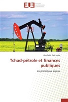 Guy Dabi Gab Leyba, Leyba-G - Tchad-petrole et finances publiques