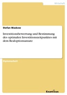 Stefan Waskow - Investitionsbewertung und Bestimmung des optimalen Investitionszeitpunktes mit dem Realoptionsansatz