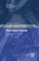 Andreas Solbach - Hermann Hesse