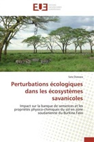 Sata Diawara, Diawara-s - Perturbations ecologiques dans