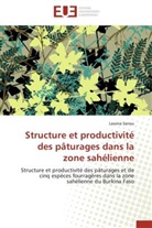 Lassina Sanou, Sanou-l - Structure et productivite des