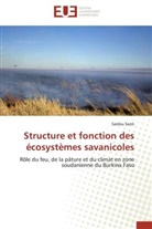 Saïdou Santi, Santi-s - Structure et fonction des