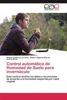 B, Andres Breit, Nelson Guillerm Lorenzo, Nelson Guillermo Lorenzo, Walmir Edgard Morete, Walmir Edgardo Morete - Control automático de Humedad de Suelo para invernáculo