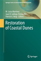 Patrick A Hesp, Jua B Gallego-Fernández, Juan B Gallego-Fernández, Juan B. Gallego-Fernández, Patrick A. Hesp, Luisa M Martínez... - Restoration of Coastal Dunes