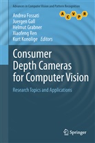 Andrea Fossati, Juerge Gall, Juergen Gall, Helmut Grabner, Helmut Grabner et al, Kurt Konolige... - Consumer Depth Cameras for Computer Vision