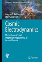 Gregory Fleishman, Gregory D Fleishman, Gregory D. Fleishman, Igor N Toptygin, Igor N. Toptygin - Cosmic Electrodynamics