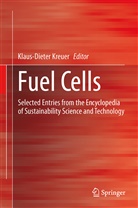 Klaus-Diete Kreuer, Klaus-Dieter Kreuer - Fuel Cells
