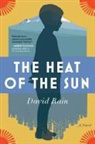 Rain, David Rain - The Heat of the Sun