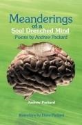 Andrew Packard - Meanderings of a Soul Drenched Mind - Poems by Andrew Packard