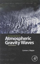 C. J. Nappo, Carmen J. Nappo, Carmen J. (CJN Research Meteorology Nappo, Nappo Carmen J. - An Introduction to Atmospheric Gravity Waves