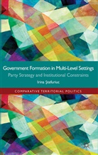 I Stefuriuc, I. Stefuriuc, Irina Stefuriuc, STEFURIUC IRINA - Government Formation in Multi-Level Settings