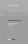 Ferdinand Tönnies, Arn Bammé, Arno Bammé, Rolf Fechner - Ferdinand Tönnies: Der Nietzsche-Kultus - Eine Kritik