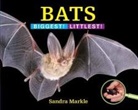 Sandra Markle - Bats
