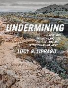 Lucy Lippard, Lucy R Lippard, Lucy R. Lippard - Undermining