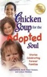Jack Canfield, Jack/ Hansen Canfield, Mark Victor Hansen, LeAnn Thieman - Chicken Soup for the Adopted Soul