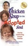 Jack Canfield, Jack/ Hansen Canfield, Mark Victor Hansen, Leann Thieman - Chicken Soup for the Adopted Soul