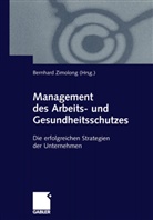 Bernhar Zimolong, Bernhard Zimolong - Management des Arbeits- und Gesundheitsschutzes