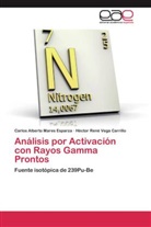Carlos Albert Mares Esparza, Carlos Alberto Mares Esparza, Hécto Vega Carrillo, Héctor René Vega Carrillo - Análisis por Activación con Rayos Gamma Prontos