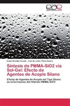 Dian Morales Acosta, Diana Morales Acosta, José de Jesús Pérez Bueno - Síntesis de PMMA-SiO2 vía Sol-Gel: Efecto de Agentes de Acople Silano