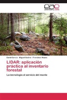 Davi García, David García, Migue Godino, Miguel Godino, Francisco Mauro - LIDAR: aplicación práctica al inventario forestal