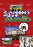 Catrin Stevens, Eric Heyman - Cyfres a Wyddoch Chi: A Wyddoch Chi Am Sefydliadau Cymru?