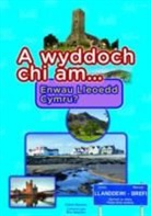 Catrin Stevens, Eric Heyman - A Wyddoch Chi Am Enwau Lleoedd Cymru?