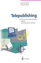 Andrea Kindt, Andreas Kindt, Kurt Sandkuhl - Telepublishing