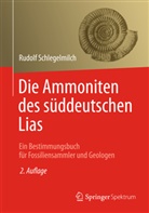 Rudolf Schlegelmilch - Die Ammoniten des süddeutschen Lias