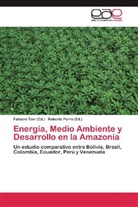 Porro, Porro, Roberto Porro, Fabian Toni, Fabiano Toni - Energía, Medio Ambiente y Desarrollo en la Amazonía