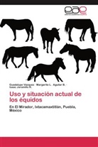 Margarito Aguilar B, Margarito L Aguilar B, Margarito L. Aguilar B., Jaramill, Isaac Jaramillo R., Guadalup Vázquez... - Uso y situación actual de los équidos