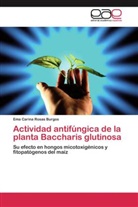 Ema Carina Rosas Burgos - Actividad antifúngica de la planta Baccharis glutinosa