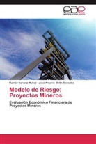 Jose Antonio Botin Gonzalez, Ramó Naranjo Nuñez, Ramón Naranjo Nuñez - Modelo de Riesgo: Proyectos Mineros