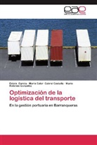 Maria Este Cabral Castella, Maria Ester Cabral Castella, Estel García, Estela García, Gonzál, Mario Rolando González - Optimización de la logística del transporte