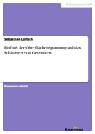 Sebastian Loitsch - Einfluß der Oberflächenspannung auf das Schäumen von Getränken