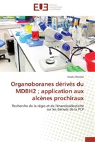 Issiaka Boukari, Boukari-i - Organoboranes derives du mdbh2