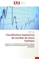 Damien Juery, Juery-D - Classification bayesienne de