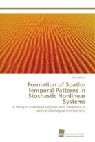 Felix Müller - Formation of Spatio-temporal Patterns in Stochastic Nonlinear Systems