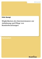 Felix Georgi - Möglichkeiten des Interneteinsatzes zur Anbahnung und Pflege von Kundenbeziehungen