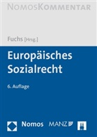 Maximilia Fuchs, Maximilian Fuchs - Europäisches Sozialrecht, Kommentar