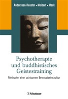 Anderssen-Reuste, Ulrike Anderssen-Reuster, Meck, Sabin Meck, Sabine Meck, Meiber... - Psychotherapie und buddhistisches Geistestraining
