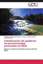 Car Reyes García, Carlos A. Reyes García, Alejandro Antoni Torres García, Alejandro Antonio Torres García, Luis Villaseñor P. - Clasificación de palabras no pronunciadas presentes en EEG
