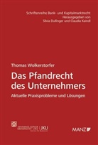 Thomas Wolkerstorfer - Das Pfandrecht des Unternehmers