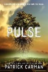Patrick Carman - Pulse