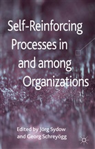 J. Sydow, Jorg Schreyogg Sydow, SYDOW JORG SCHREYOGG GEORG, Georg Schrey Gg, G. Schreyoegg, G. Schreyogg... - Self-Reinforcing Processes in and Among Organizations