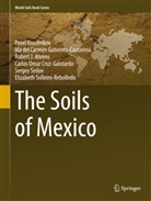 Robert J. Ahrens, Carlos Omar Cruz-Gaistardo, Mar a. Del Carmen Guti Rrez Castorena, María del Carmen Gutiérrez Castorena, Ma Del Carmen Gutierrez-Castorena, Ma del Car Gutiérrez-Castorena... - The Soils of Mexico