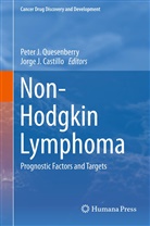 Jorge J. Castillo, J Castillo, J Castillo, Pete J Quesenberry, Peter J Quesenberry, Peter J. Quesenberry - Non-Hodgkin Lymphoma