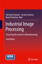Christia Demant, Christian Demant, C Garnica, Carsten Garnica, Bern Streicher-Abel, Bernd Streicher-Abel - Industrial Image Processing