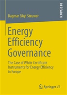 Dagmar S. Steuwer, Dagmar Sibyl Steuwer - Energy Efficiency Governance