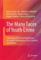 D Enzmann, Dirk Enzmann, Beata Gruszczynska, Josin Junger-Tas, Josine Junger-Tas, Martin Killias... - The Many Faces of Youth Crime