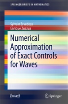 Sylvai Ervedoza, Sylvain Ervedoza, Enrique Zuazua - Numerical Approximation of Exact Controls for Waves
